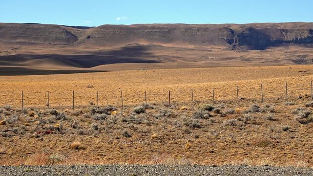 Vast arid landscape of Patagonia with a wire fence and birds flying over the dry steppe