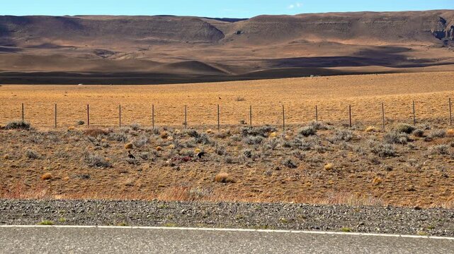 Scenic landscape of the arid Patagonia steppe with a wire fence and distant hills
