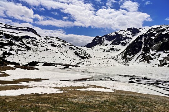 Ice floes drift in the half-frozen upper Murgsee, in the foreground, white flowering spring crocuses (Crocus vernus), Murg Valley, Canton of St. Gallen, Switzerland