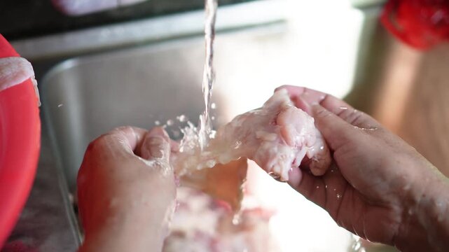 Close-up of hands washing raw chicken under running water in a kitchen sink. Focus on hygiene and food preparation. Natural lighting, shallow depth of field, clean background.