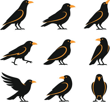 Set of black crow characters in various poses and actions isolated on a white background