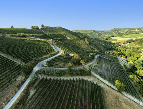 Monforte d'Alba, Italy - 17 August 2026: Aerial view of the rolling vineyard-covered hills of the Langhe region with winding roads and lush green foliage under a clear blue sky.