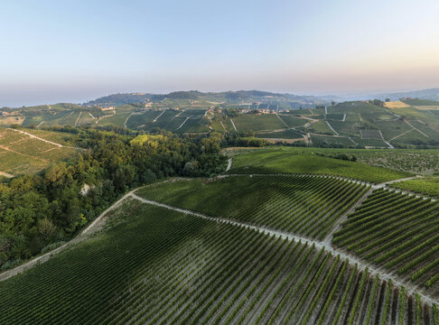 Monforte d'Alba, Italy - 17 August 2026: Aerial view of vineyards across the rolling hills of the Piedmont region with lush green vines, patches of forest, and a clear sky.