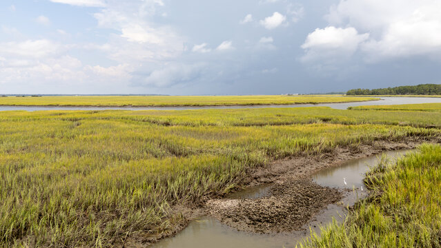 Drone captures aerial view of marshland near waterway during cloudy weather