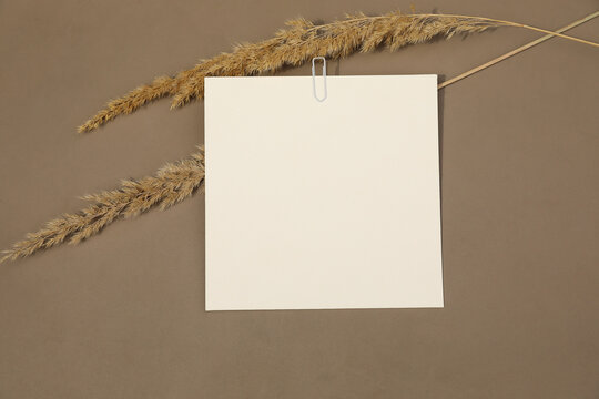 Minimalist Square Note Card Mockup with White Metal Paper Clip and Dried Pampas Grass on Brown Beige Table Background. Modern elegant stationery, message, invitation. Flat lay, top view, copy space