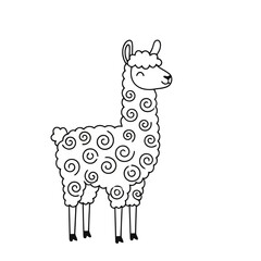 Naklejka premium Cute llama with curly wool pattern