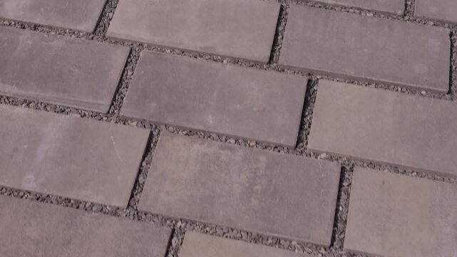 Rectangular concrete paving stones forming walkway surface