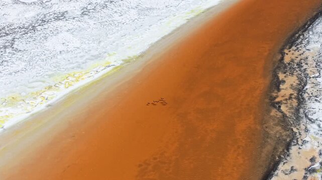 Aerial Salt lagoon with flamingo at Atacama Salt Flats