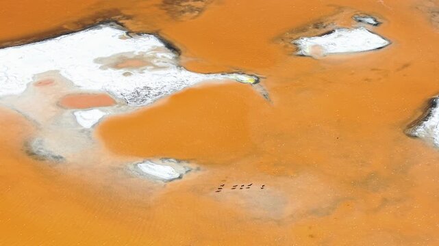 Aerial Salt lagoon with flamingo at Atacama Salt Flats