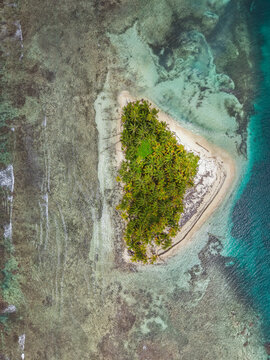Aerial view of a small tropical island covered in lush palm trees, surrounded by vibrant coral reefs and clear turquoise water in Guna Yala Comarca, Panama.
