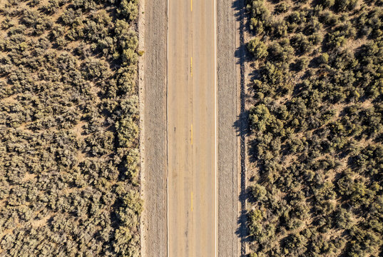 Marketing Banner Aerial Forest Road Through Remote Woodland