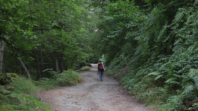 Female hiker explores scenic Somiedo Valley trail
