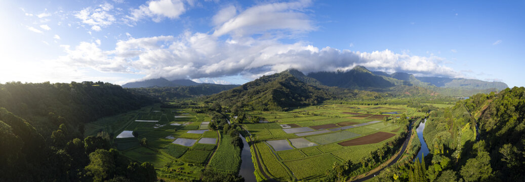 Aerial view of the Taro Farm in Hanalei Valley with lush green fields, irrigation ponds, and mountains under a cloudy sky in Kauai, Hawaii, United States.