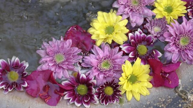 Colorful flowers floating in water in Cordoba, Spain
