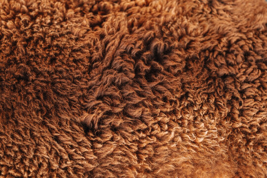 Soft Brown Sheepskin Rug for winter backgrounds,cozy home decor,textile advertising,seasonal banners and hygge designs. 