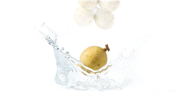 Fresh longkong fruit splashing into water isolated on white