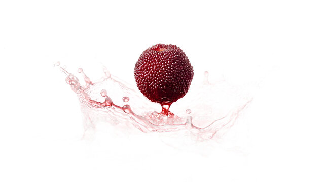 Fresh Red Bayberry Fruit Splashing in Water with Crown Splash on White Background