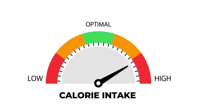 Calorie Intake Gauge Meter with Low Optimal and High Level Animation