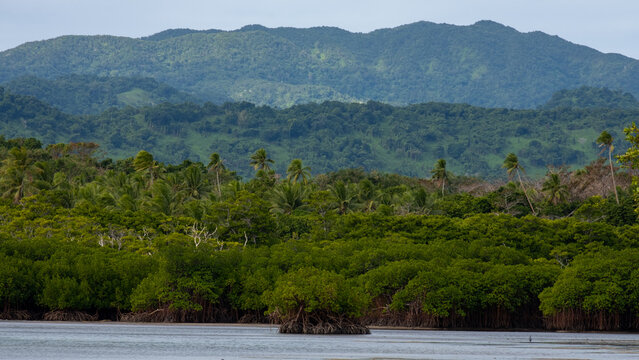 Scenic coastal view ocean, dense mangrove forests, and rugged mountainous landscape on tropical island of Kadavu in Fiji, South Pacific
