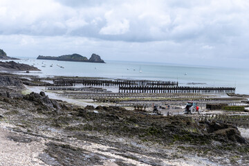 View of underwater oyster farms in Cancale, Brittany, exposed during low tide, raditional sustainable aquaculture and production of premium French oysters, France © barmalini