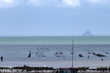 View of underwater oyster farms in Cancale, Brittany, exposed during low tide, raditional sustainable aquaculture and production of premium French oysters, France © barmalini