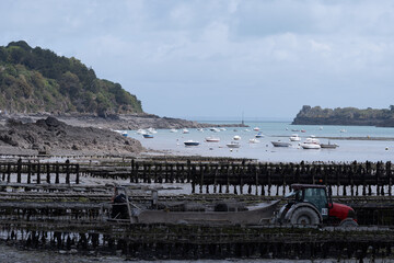 Aerial drone view of underwater oyster farms in Cancale, Brittany, exposed during low tide, raditional sustainable aquaculture and production of premium French oysters, France © barmalini