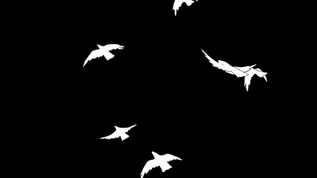 Doodle Cartoon Animation Elements of a group of birds flying across