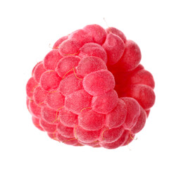 One fresh ripe raspberry isolated on white © New Africa