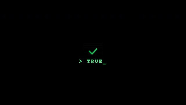 Retro terminal data verification screen with glitch effect and true status on transparent