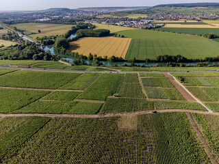 Obraz premium Aerial view, Cumieres and Hautvillers champagne vineyards in Marne Valley with rolling green hills, chalk terroir, summer landscape, traditional methode champenoise production.