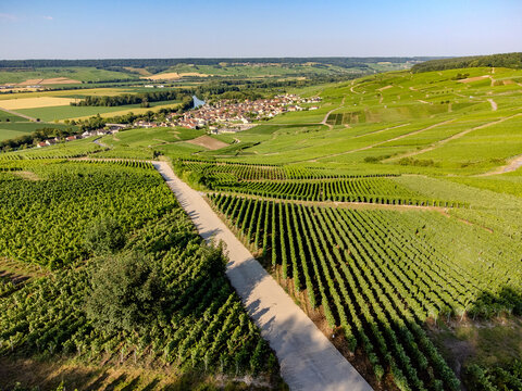 Aerial view, Cumieres and Hautvillers champagne vineyards in Marne Valley with rolling green hills, chalk terroir, summer landscape, traditional methode champenoise production.