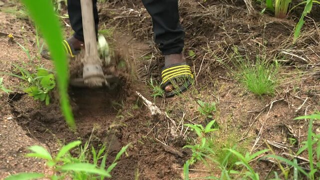 Close-up of a farmer's feet in striped sandals digging soil with a hoe in rural Mozambique, showcasing agricultural labor and subsistence farming.