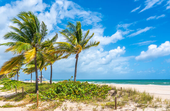 Lifeguard station on the beach in Fort Lauderdale, Florida USA