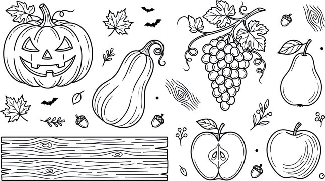 Halloween autumn harvest vector illustration element set featuring spooky jackolantern pumpkin squash grapes apples and wooden sign graphics