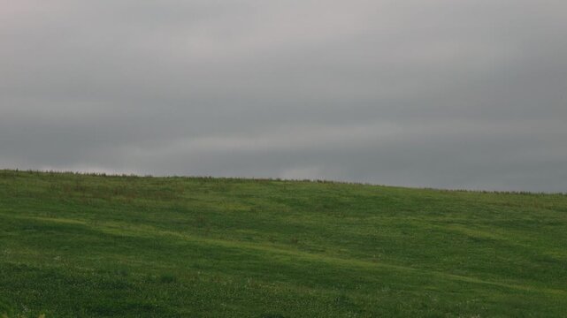 Gray sky and gently sloping grassy landscape
