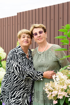 Authentic portrait of two smiling senior russian sisters 80 and 75 years old looking at camera near blooming hydrangea shrubs in a summer garden in Russia