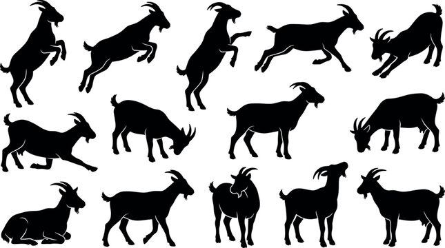 Domestic goat silhouette icon set with black farm animal ram symbols for country livestock agriculture and ranch branding vector.