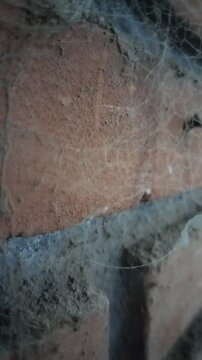 Extreme macro close-up of a dusty cobweb on a rustic brick wall. Concept of an abandoned, dirty, and poorly maintained room.