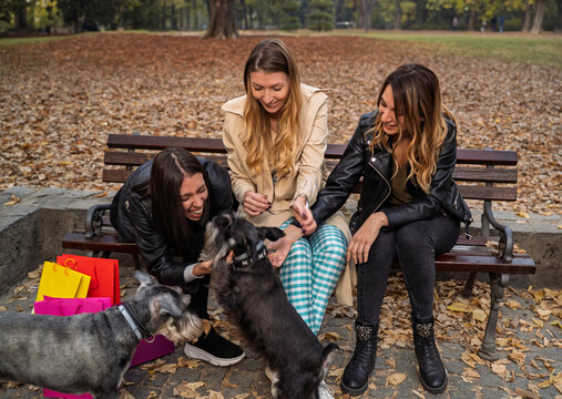 Three young girls petting dogs in the park in autumn season, while sitting on the bench 