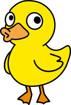 duck