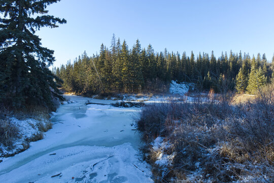 Whitemud Park in the Winter