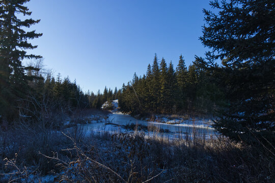 Whitemud Park in the Winter