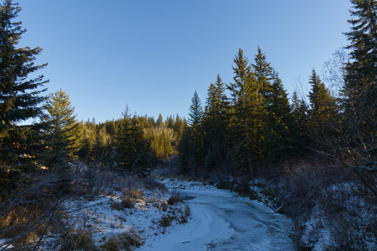 Whitemud Park in the Winter