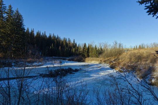 Whitemud Park in the Winter
