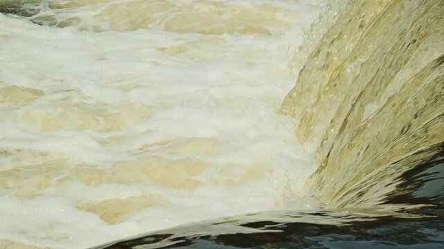 Vimba bream leap against powerful Venta Rapid currents in Kuldiga in slow motion