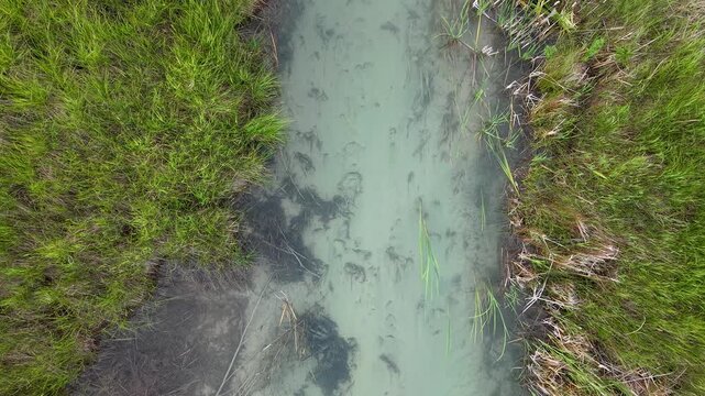 Top down aerial tracks a pale blue creek channel between dense green wetland banks in northern Michigan