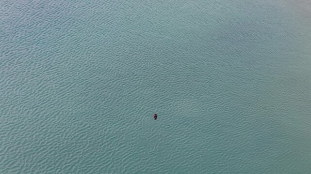 A solitary merganser duck swims across clear turquoise Lake Huron water in a minimalist overhead aerial view.