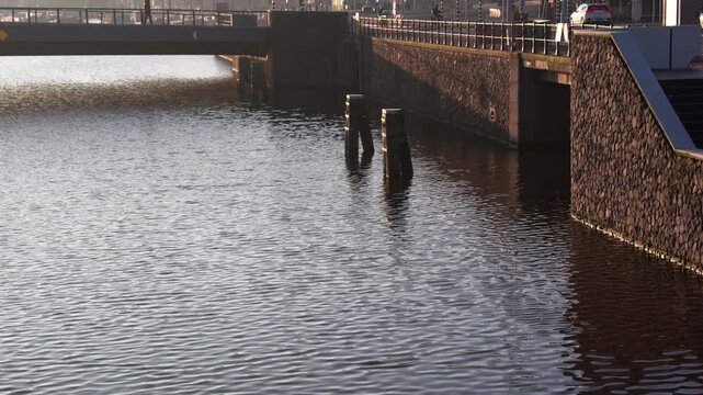 オランダの運河の石積み護岸と係船杭、朝の光にきらめく水面（Canal Waterfront in the Netherlands）