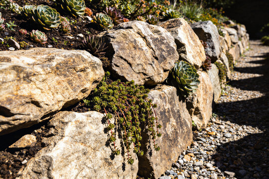 Rock garden retaining wall with succulents and sedum cascading between stones