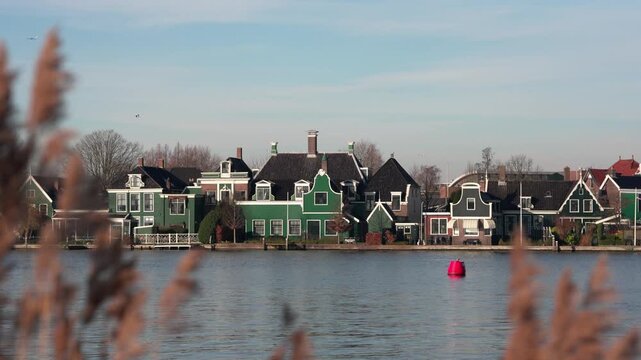 オランダの水辺に並ぶ緑の伝統的な木造家屋と葦の穂（Traditional Dutch Green Wooden Houses Along the Waterfront, Netherlands）